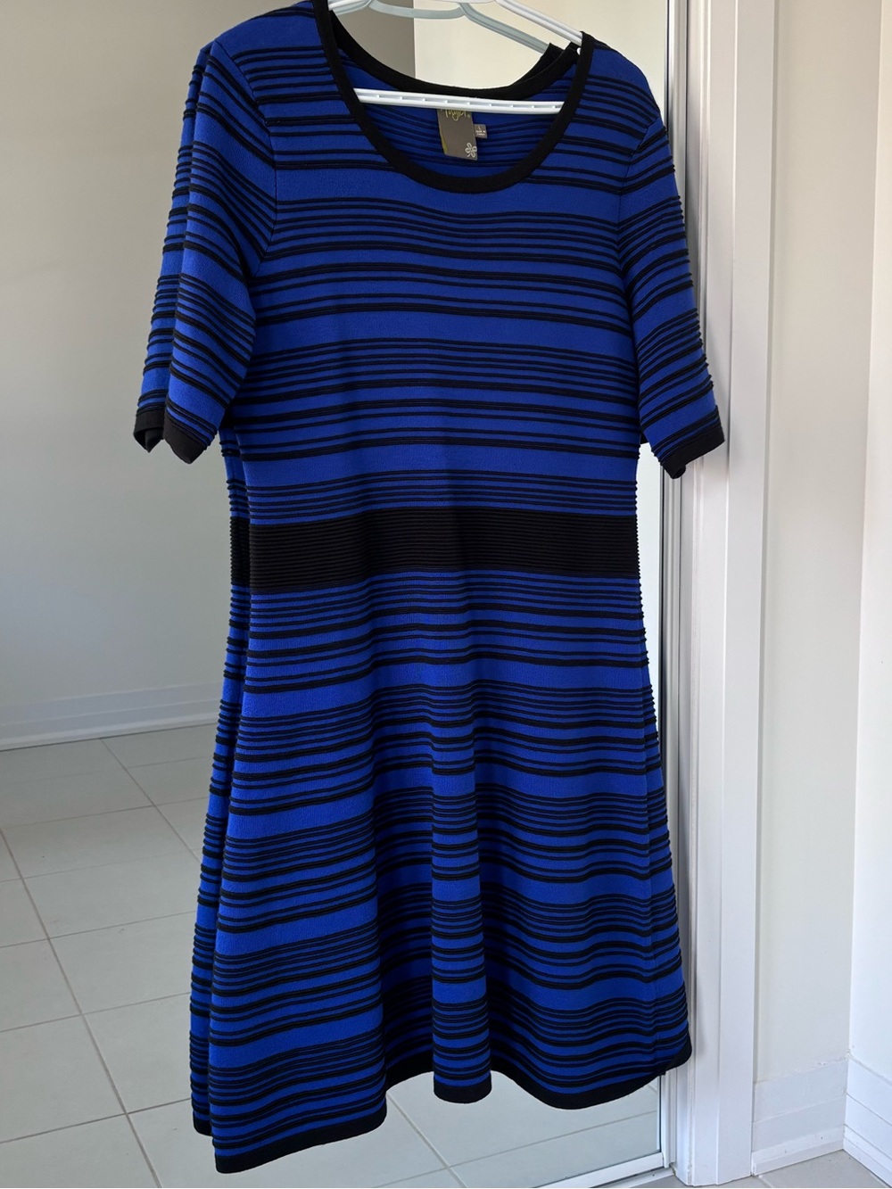 Taylor Blue and Black Striped Mini Dress